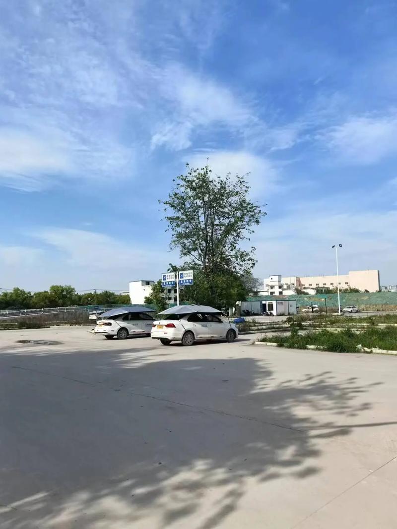 高效學車新體驗 理論速培穩過，一對一練車快速拿證